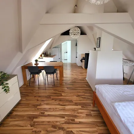 Dachgeschosswohnung 1 - Am Schloss *